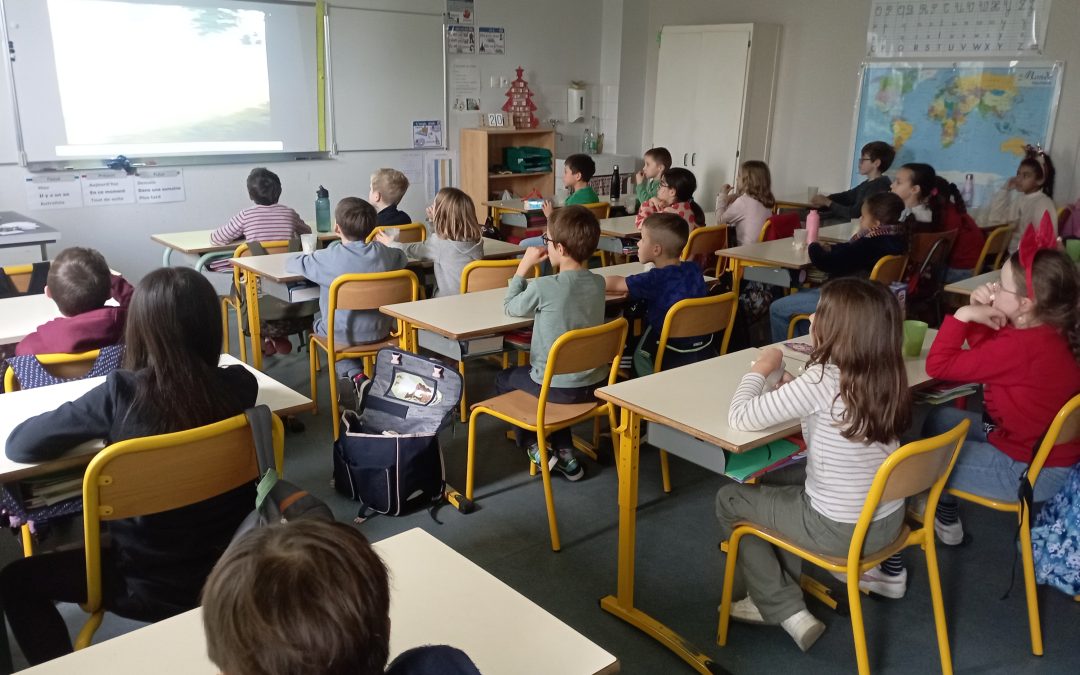 Après-midi cinéma en classe