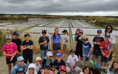 Des marais salants à la cité médiévale de Guérande