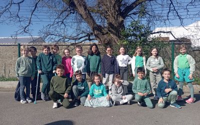 Saint Patrick’s day