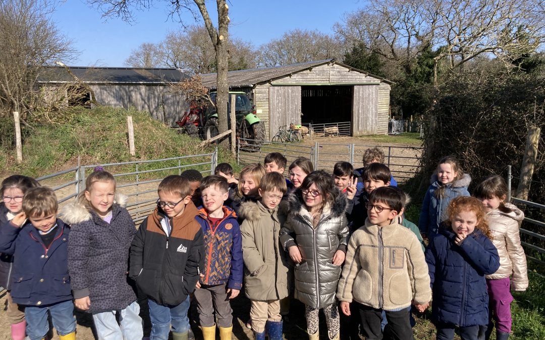 Visite de la bergerie du Vincin