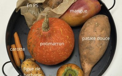 Notre semaine du goût